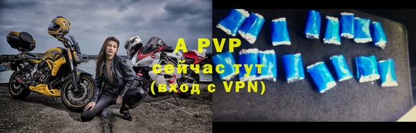 a pvp Магас