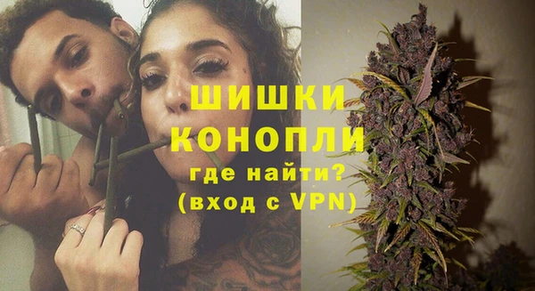 a pvp Магас