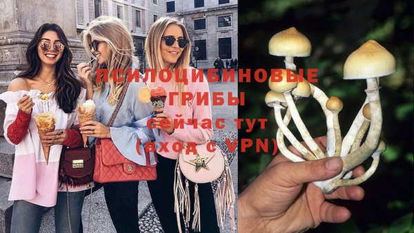 a pvp Магас