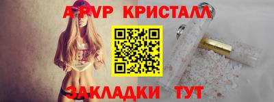 шишки Будённовск
