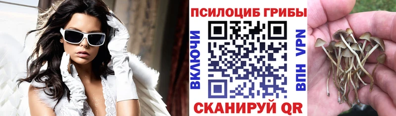 Псилоцибиновые грибы мицелий  hydra как зайти  Долгопрудный 