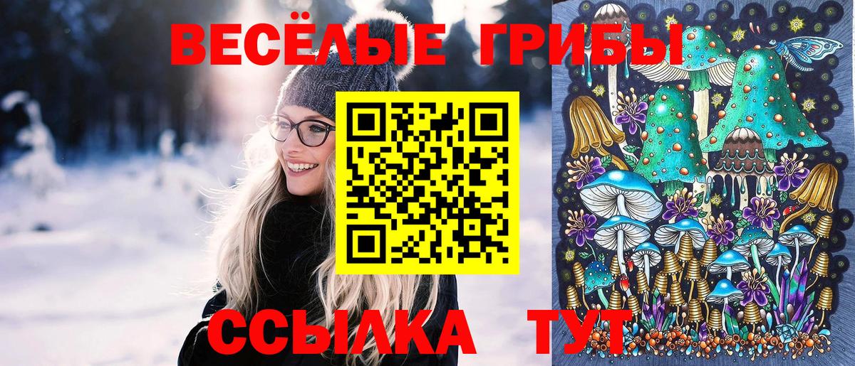 Галлюциногенные грибы Magic Shrooms  Галлюциногенные грибы GOLDEN TEACHER  закладки  Долгопрудный 