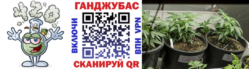 Каннабис ГИДРОПОН закладка Долгопрудный